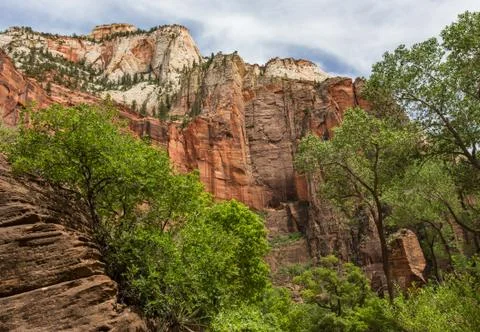 Zion Cliffs Stock Photos