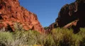 Zion Dolly LM06 Kolob Canyon HD Footage