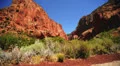 Zion Dolly LM08 Kolob Canyon HD Footage