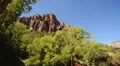 Zion Driving LM26 Vehicle Shot HD Footage