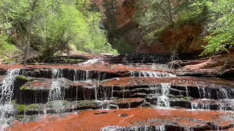 Zion hiking Vidéo 296726826