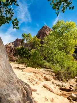 Zion mountain pass Stock Photos