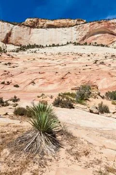 Zion National Park Foto stock