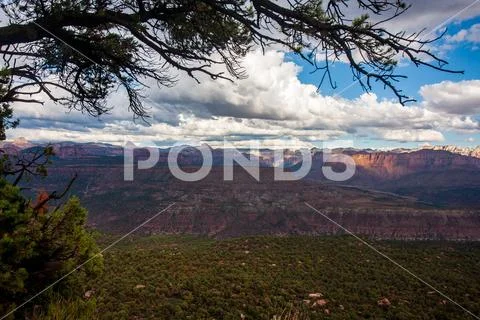 Zion National Park from Smith Mesa cumulus clouds over sandstone bluffs Stock Photos