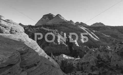 Zion Stock Photos