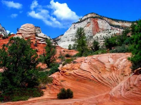 Zion Stock Photos