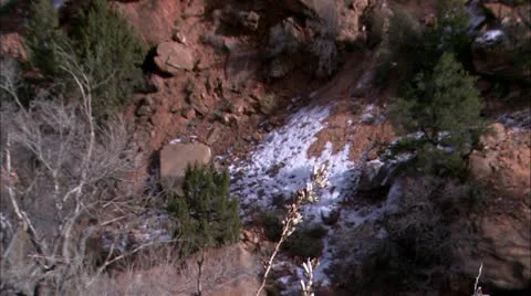 Zion15 Stock Footage 22656287