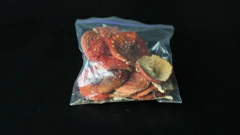  zip bag filled with dried red fly agaric mushrooms Stock Footage 297862298