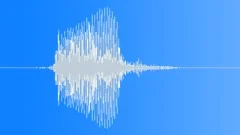 ZIP, CARTOON Sound Effect