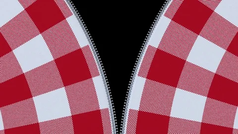 Zip fastener on red and white checkered flannel shirt. Stock Footage 80118535