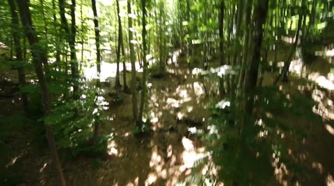 ZIP line Stock Footage 33958294