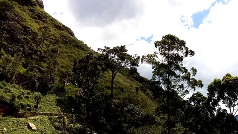 Zip line 스톡 동영상 123239361