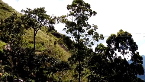 Zip line 스톡 동영상 123240415