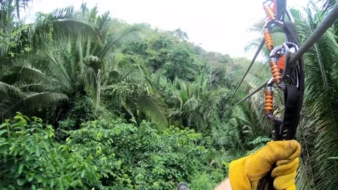 Zip line point of view in canopy of tropical rain forest Stock Footage 168532760