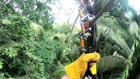 Zip line point of view inside of tropical rain forest trees 스톡 동영상 168532743