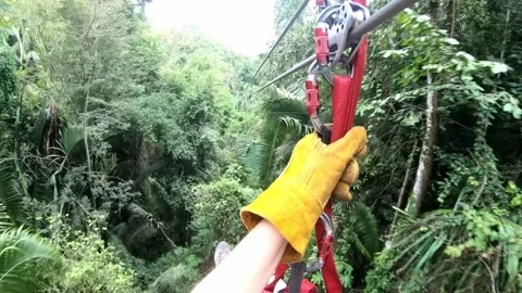 Zip line point of view in tropical rain forest 스톡 동영상 168532912