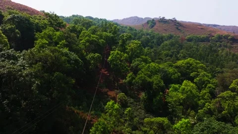 Zip Line with reserved forest, mountains and sky, at Western Ghats, Attigundi Stock Footage 335221186