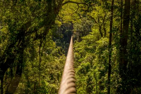 Zip line through the thick and green forest or jungle, with vanishing point o Stock Photos