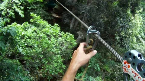 Zip Line Tree Top Tour Stock Footage 11168041
