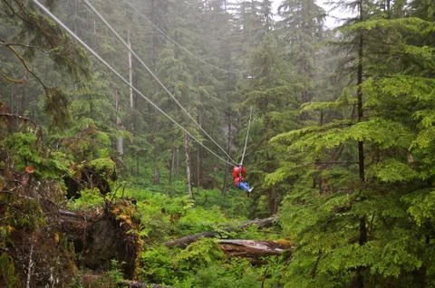 Zip lining in the middle of a forest Stock Photos