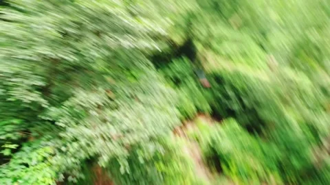 Zip lining outdoors in green forest outdoors first person point of view backg Vidéo 157604747