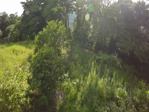 Zip lining over the Monteverde Costa Rica rainforest Stock Footage 80605033