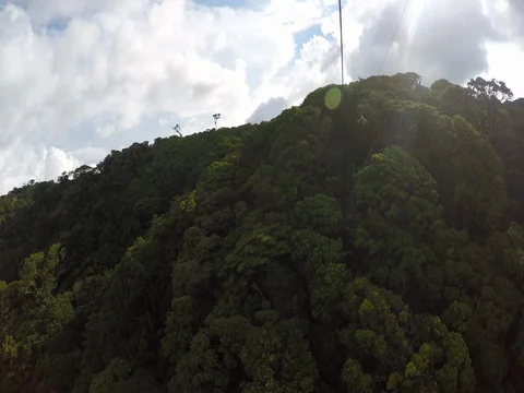 Zip lining over the Monteverde Costa Rica rainforest Stock-Footage 80605225