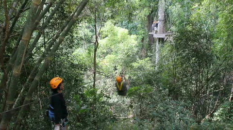 Zip Lining Through The Forest Stock-Footage 664268