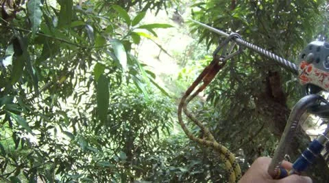 Zip Lining: Ziplining Stock Footage 11168236
