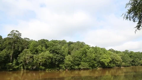 Zipline Stock Footage 124496333