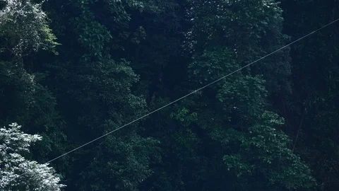 Zipline Stock Footage 126551145