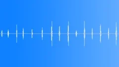Zipping Fly Sound Effect