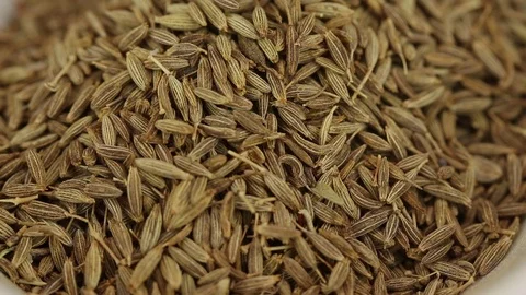 Zira seeds Stock Footage 123336813