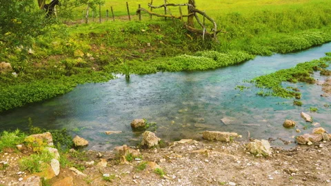 The Zittola stream flows through the meadows of the Montenero peat bog Stock Footage 132595458