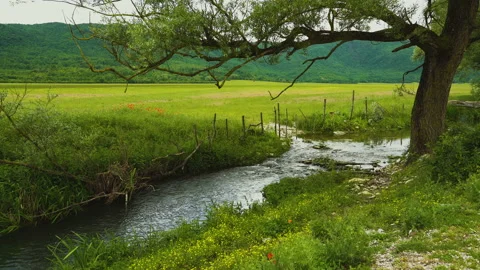 The Zittola stream flows through the meadows of the Montenero peat bog Video stock 132596251