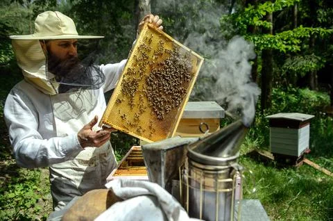 Zlota Galaz beekeeping facility in Poland, Nowy Gaj - 22 May 2017 Stock Photos