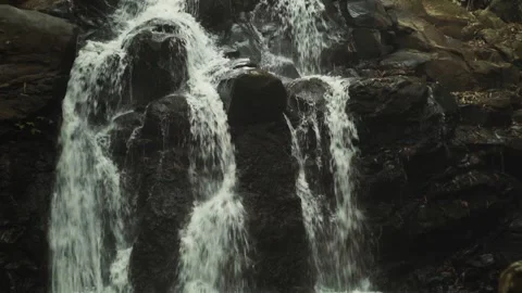 ZNDQ-007 Stock Footage 341302541