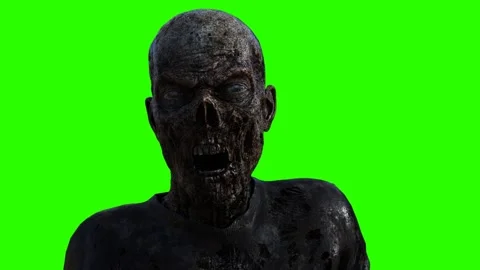 Zombie Attacks! 스톡 동영상 146229532