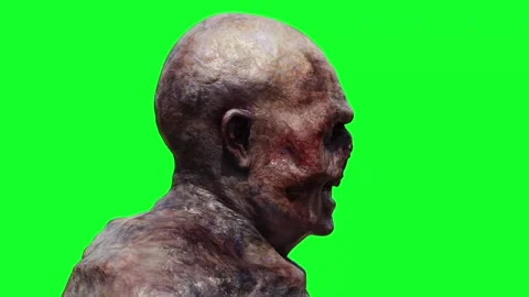 Zombie green screen realistic 4k animation. Stock Footage 313506089