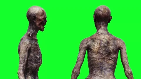 Zombie green screen realistic 4k animation. Stock Footage 313506166
