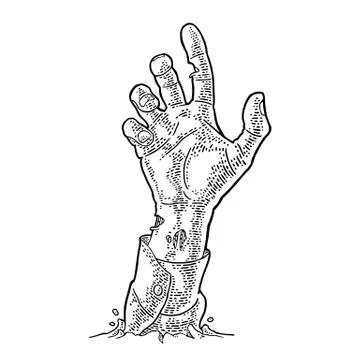 Zombie hand with claw. Vector black vintage engraving Stock Illustration