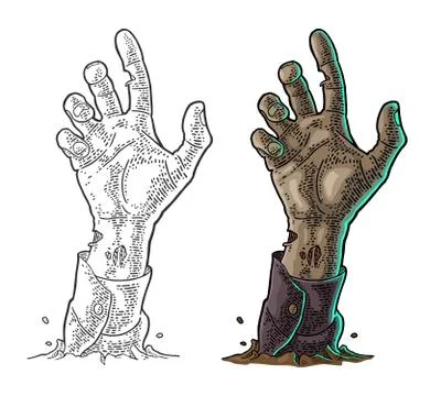 Zombie hand with claw. Vector black vintage engraving Stock Illustration