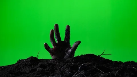 Zombie hand emerging from the ground grave. Halloween concept. Green screen. 015 Stock Footage