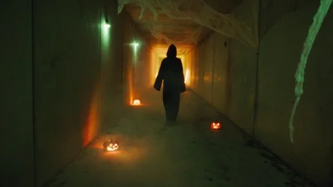 The Zombie In The Night Of The Dead Stock Footage 317614466