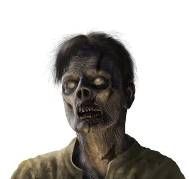 Zombie Portrait - on white Stock Illustration