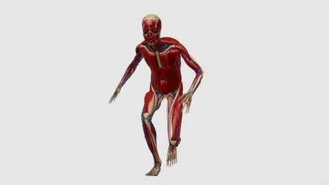 Zombie Running Towards Camera with Alpha Channel Stock Footage 236697904