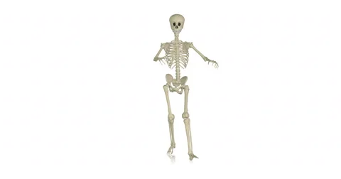 Zombie skeleton walking - looping animation on white. Stock Footage 67583665