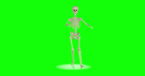 Zombie skeleton walking - looping animation on green screen background. Stock Footage 67583672