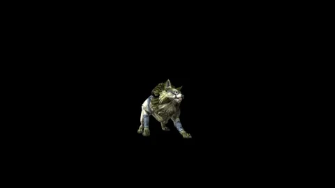 Zombie Wolf KT  bite throw  black background animation 3D rendering Stock Footage 292471922