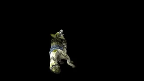 Zombie Wolf KT  death  black background animation 3D rendering Stock Footage 292471915